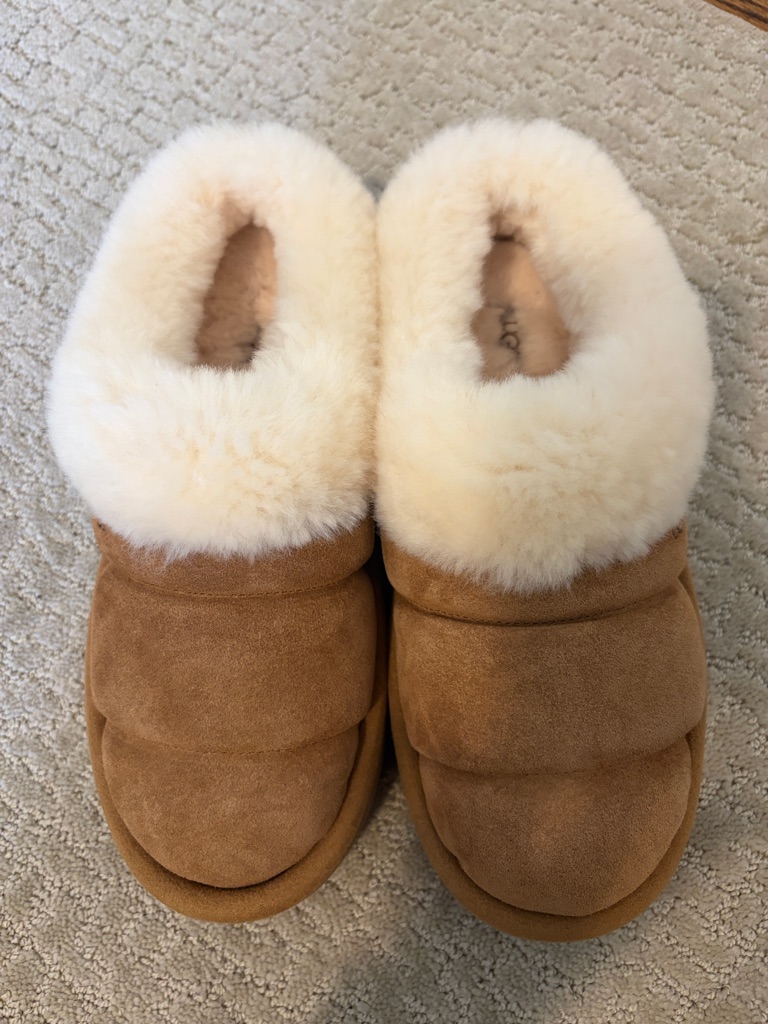 Ugg Tazzlita Shearling Lined Suede Platform Slippers New 8